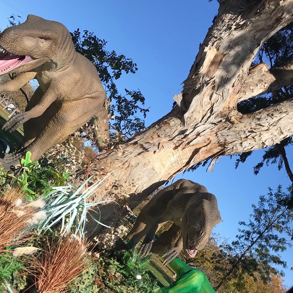 β€οΈ - Picture 1 of 1